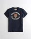 Hollister men's 2020 summer new short-sleeved t-shirt cotton short-sleeve shirt HCO seagull shirt tide Hollister men's 2020 summer new short-sleeved t-shirt cotton short-sleeve shirt HCO seagull shirt tide