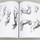 Berriman teaching human body structure painting Platinum Edition George Berriman sketch sketching basic tutorial game anime design art using human body anatomy human body structure modeling hand-painted technique calligraphy and painting head hand human character copy Berriman teaching human body structure painting Platinum Edition George Berriman sketch sketching basic tutorial game anime design art using human body anatomy human body structure modeling hand-painted technique calligraphy and painting head hand human character copy