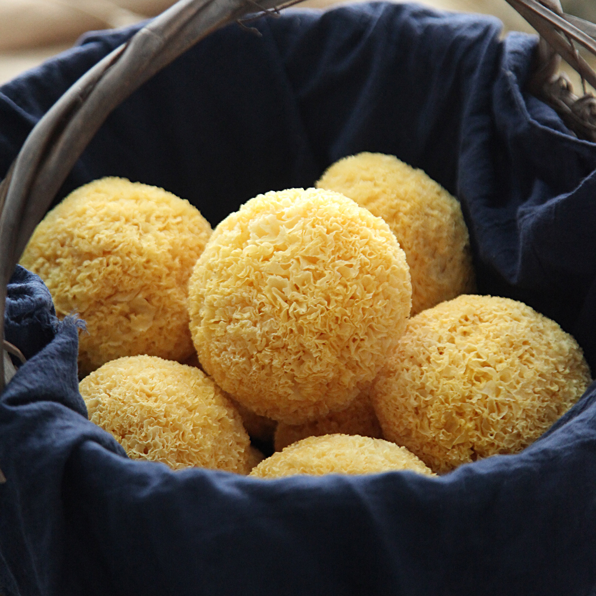 500g 珍云鲜日晒丑耳糯耳白木耳古田自种银耳干货软糯胶多无硫