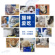 Lan's Cat Food Adult Cat Kitten 2.26kg Cat Rice No Valley Eight Fish British Short Blue Cat Fatting Gill Full Price Nutrition Lan's Cat Food Adult Cat Kitten 2.26kg Cat Rice No Valley Eight Fish British Short Blue Cat Fatting Gill Full Price Nutrition