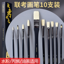 Art students entrance examination brush set water chalk pig mane brush brush acrylic gouache brush acrylic gouache pen fan pens color pen Art special brush oil painting brush 10 boxed
