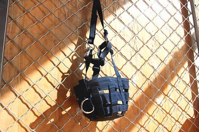 厂家直销 马嘴罩 采用加厚织布 精制而成马术马具包邮