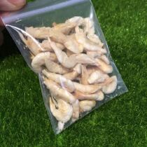 Dried shrimp fresh water salt-free River shrimp dry small stomach Ant House