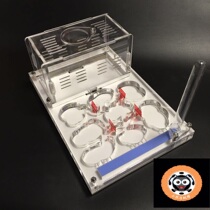 Acrylic Nest Ant Villa Ant Nest Workshop Ant Castle Ant Pet