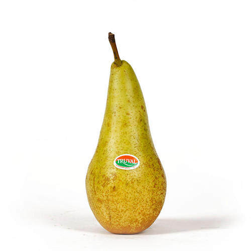 【买一送一】比利时truval啤梨10只装 进口梨