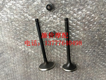 Motorcycle parts Majester YP250 Antonis water-cooled 250 valve oil seal valve