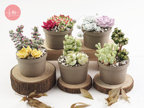 Hand rhyme paper (fleshy potted plant) material package DIY three-dimensional eternal flower plant handmade finished product set