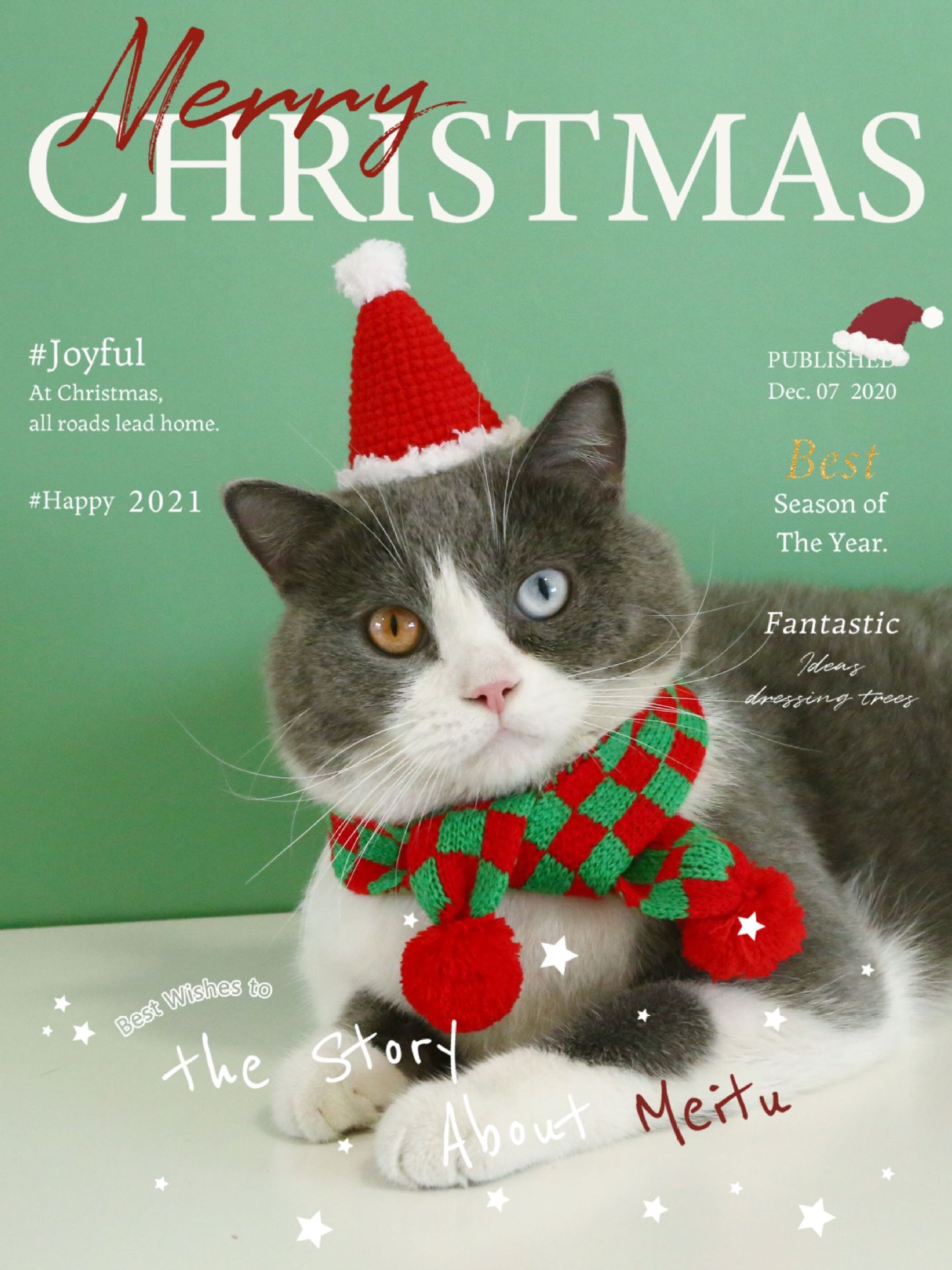 QQ Picture 20220725162206