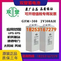 Shuangdeng 2V300AH Battery Shuangdeng GFM-300 Communication Room Base Station Direct Screen Marine Emergency Lighting