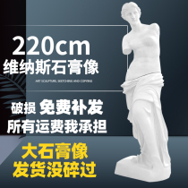 Venus full-length art teaching aids plaster Avatar sculpture plaster sculpture sketch plaster avatar model