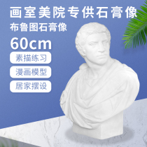 Gypsum statue Brutus art teaching aids plaster Avatar sculpture plaster sculpture sketch plaster avatar model