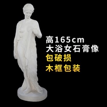 Big Bath girl art teaching aids plaster head sculpture plaster sculpture sketch plaster head model