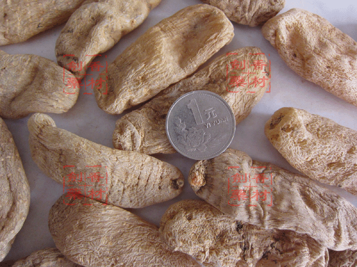 中药补脑止痫散对癫痫大鼠海马神经元凋亡基因bax和bcl-2表达的影响