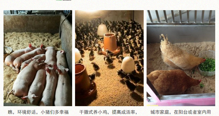 干撒式发酵床菌种养鸡养猪养鸭养蛇阳台养殖技术益生菌发酵床菌剂