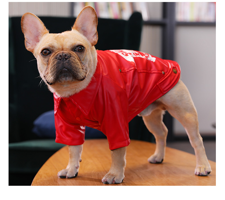 Black Leather Motorcycle Suit