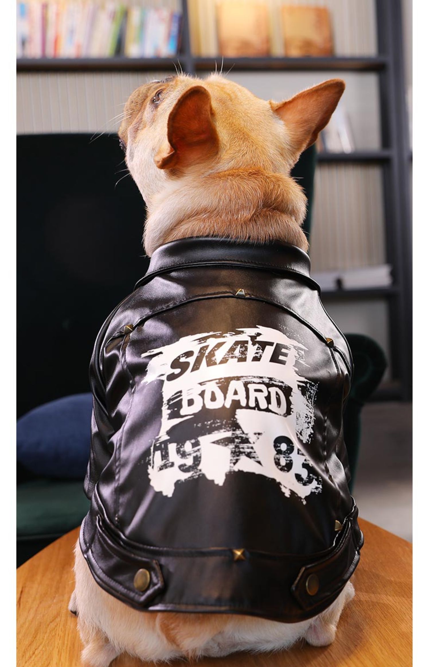 Red Leather Motorcycle Suit