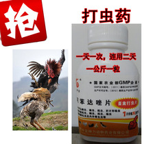 Cockfighting supplies cockfighting play chong yao cockfighting training supplies cockfighting play in vivo play chong yao