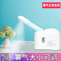 (Taidong flagship store)Cold spray machine Anti-spray allergy steaming face instrument Household cold spray water meter Steaming face device Face