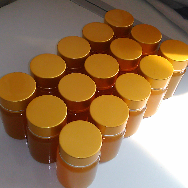 【急用顺丰补邮费】长白山獾子油东北狗獾子油50克包邮正品保证