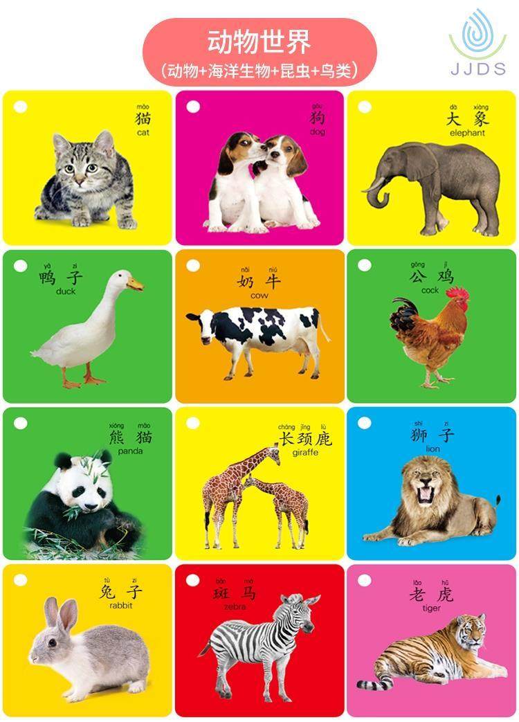 儿童识字卡片带图片动物益智玩具幼儿认字宝宝识图早教认知卡片