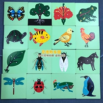 Montessors early education center toys animal and plant panels animal and plant puzzles Mongolian teaching aids