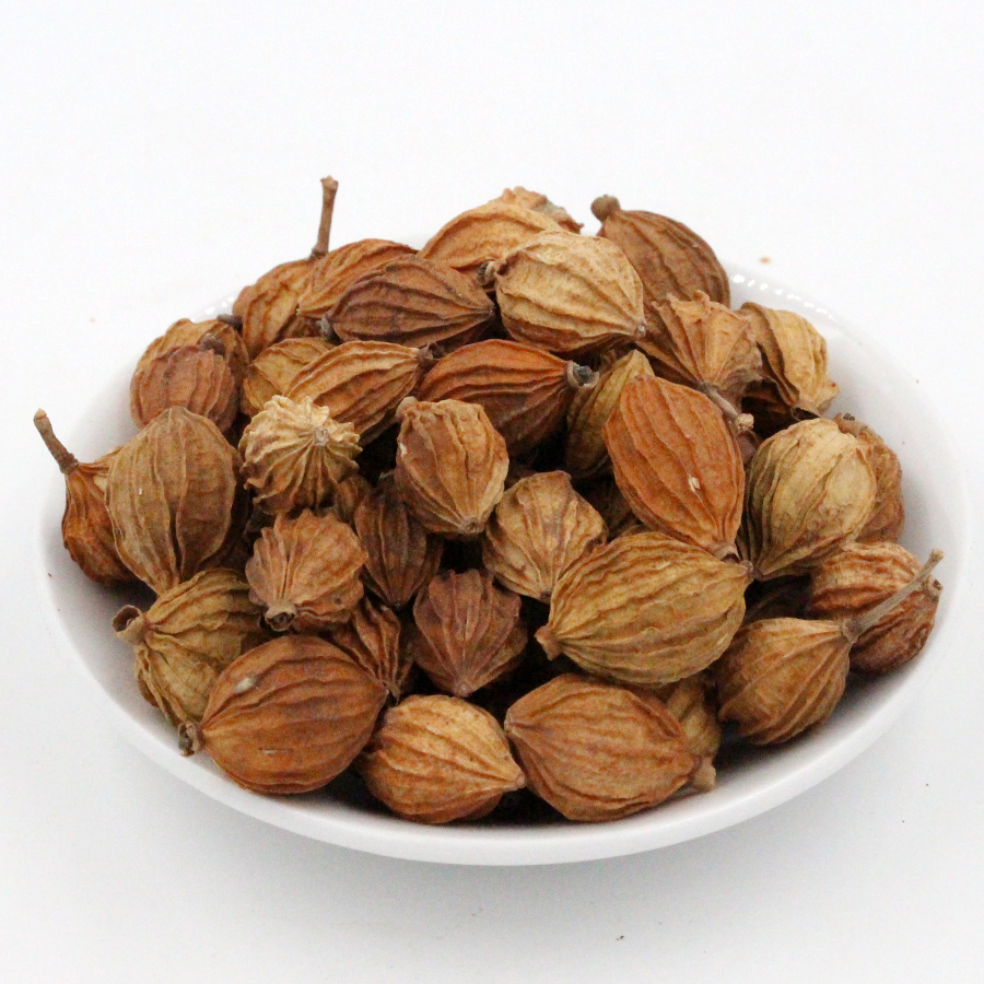 香砂仁50g金砂仁川砂仁香沙仁火锅烧菜炖肉卤肉卤料调料香料包邮