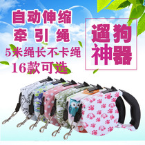 Dog telescopic traction with teddy small and medium dog Automatic cute walking dog Pet Supplies Dog chain Sub-traction rope