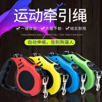 Teddy Bears small and medium puppies Kitty Tow Rope Automatic Telescopic Walk Dog Rope Pet Dog Chain Subtraction Belt