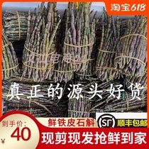 Fresh Dendrobium Dendrobium premium Yunnan maple bucket fresh strips Nobile Dendrobium Orchid Huoshan introduction 500g
