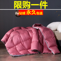 Duvet winter thickened winter 95 white goose down quilt double single student dormitory duck quilt spring and autumn cotton quilt core