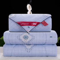 Silk quilt summer thin air conditioning by spring and autumn quilt core cotton winter quilt mother is double machine washable 4kg