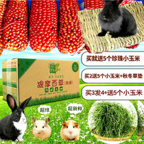 Buy 3 get 1 Huimeng 21 years South Timothy grass 250g Timothy young seedlings ChinChin guinea pig food feed