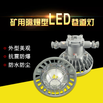 Coal mine explosion-proof LED Roadway Lighting DGS24 127L(A)30 36W127V underground explosion-proof lamp