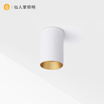 Cactus lighting round LED Downlight non-hole ceiling single head living room bedroom ceiling COB spotlight