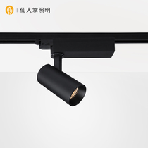 Cactus lighting commercial LED track light pig mouth spotlight COB showroom clothing store high power rail spotlight
