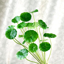 Single simulation small lotus leaf green leaf plastic small green plant decorative leaf false flower arrangement small green leaf evergreen leaf lotus leaf