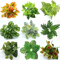 Simulation plant small green leaves green leaves plastic fake flowers plant background wall decoration fake leaves over glue hand feel leaves