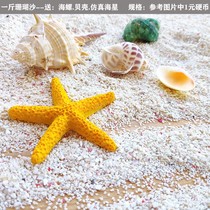 400 grams of coarse white coral sand Primary color coarse sea sand Fish tank floor paving conch shell home decoration