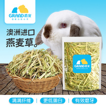Australia imported oat grass second round golden Australia wheat grass section rabbit guinea pig chinchilla forage molar crude fiber 500g
