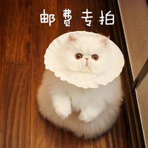 Ha ha of a tenth grocery store you fei zhuan pai to fill the order exception mugs