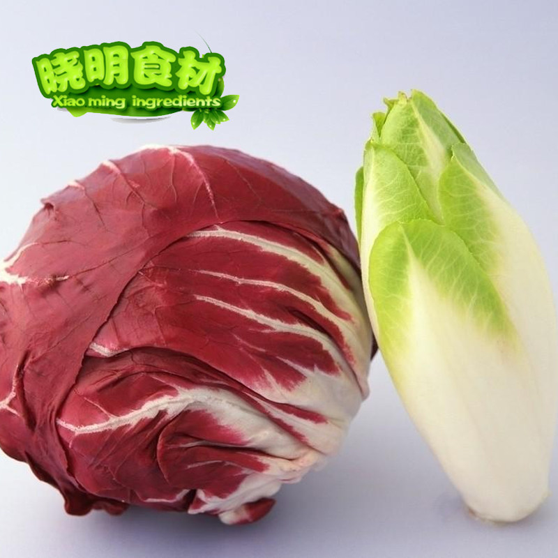 新鲜蔬菜 落地球生菜 紫苣 红菊苣 绿叶红包菜 250g浙沪三斤包邮