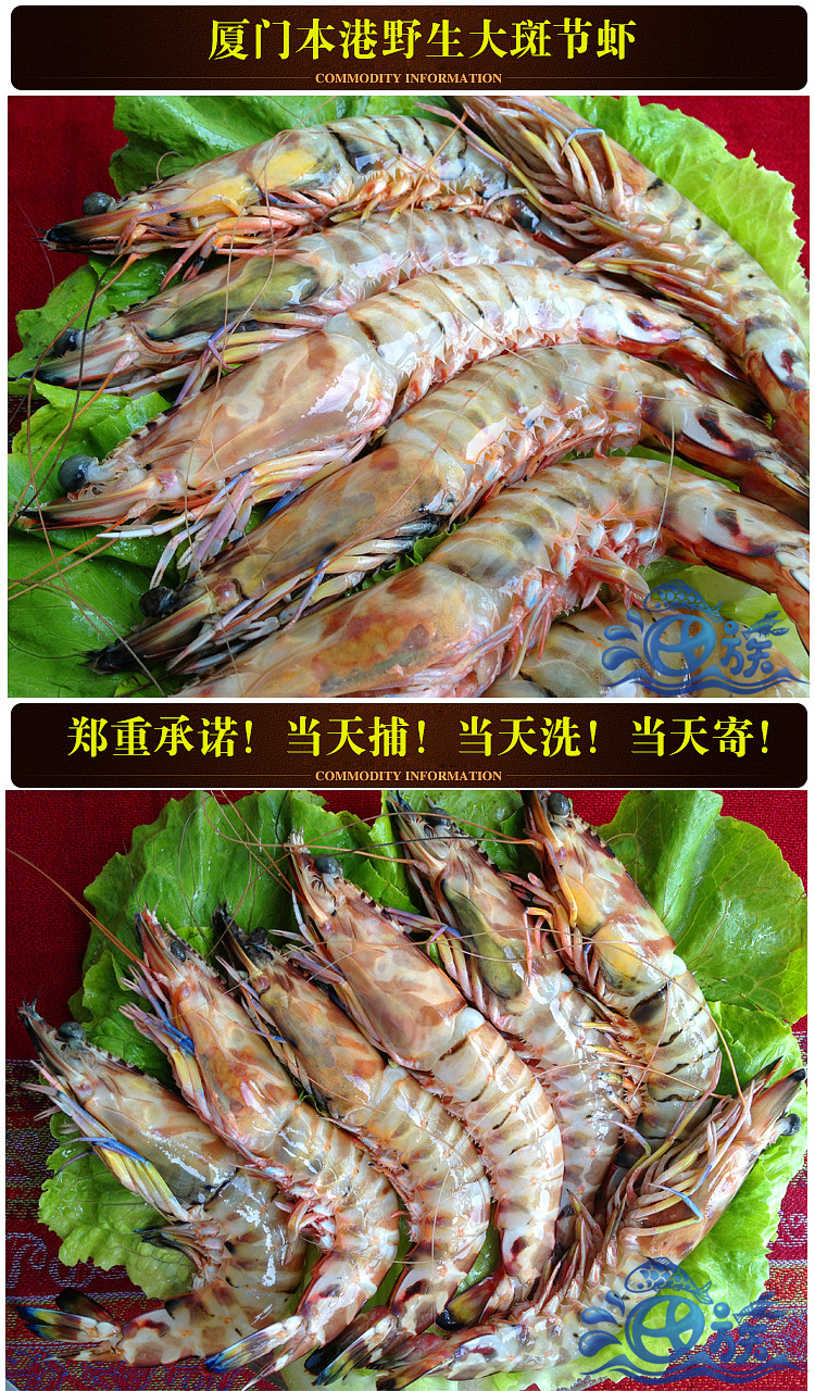 新鲜野生大斑节虾一斤 鲜活海虾 鲜活竹节虾 活对虾 生鲜海鲜青虾_7折