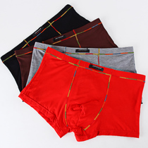 Season style briefs Mens pure cotton flat corner pants trendy waist Modale four-corner pants breathable Young guys pants head