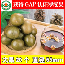 Luo Han Guo dried fruit fresh Guilin Yongfu specialty Guangxi new fruit 20 large fruits Low temperature bagged sweet premium soaked water