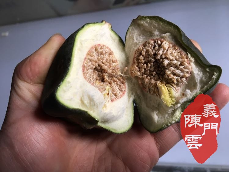 500g包邮 庐山野生薜荔鲜果 药果子奶母果糖馒头木莲鬼球蔓中药材