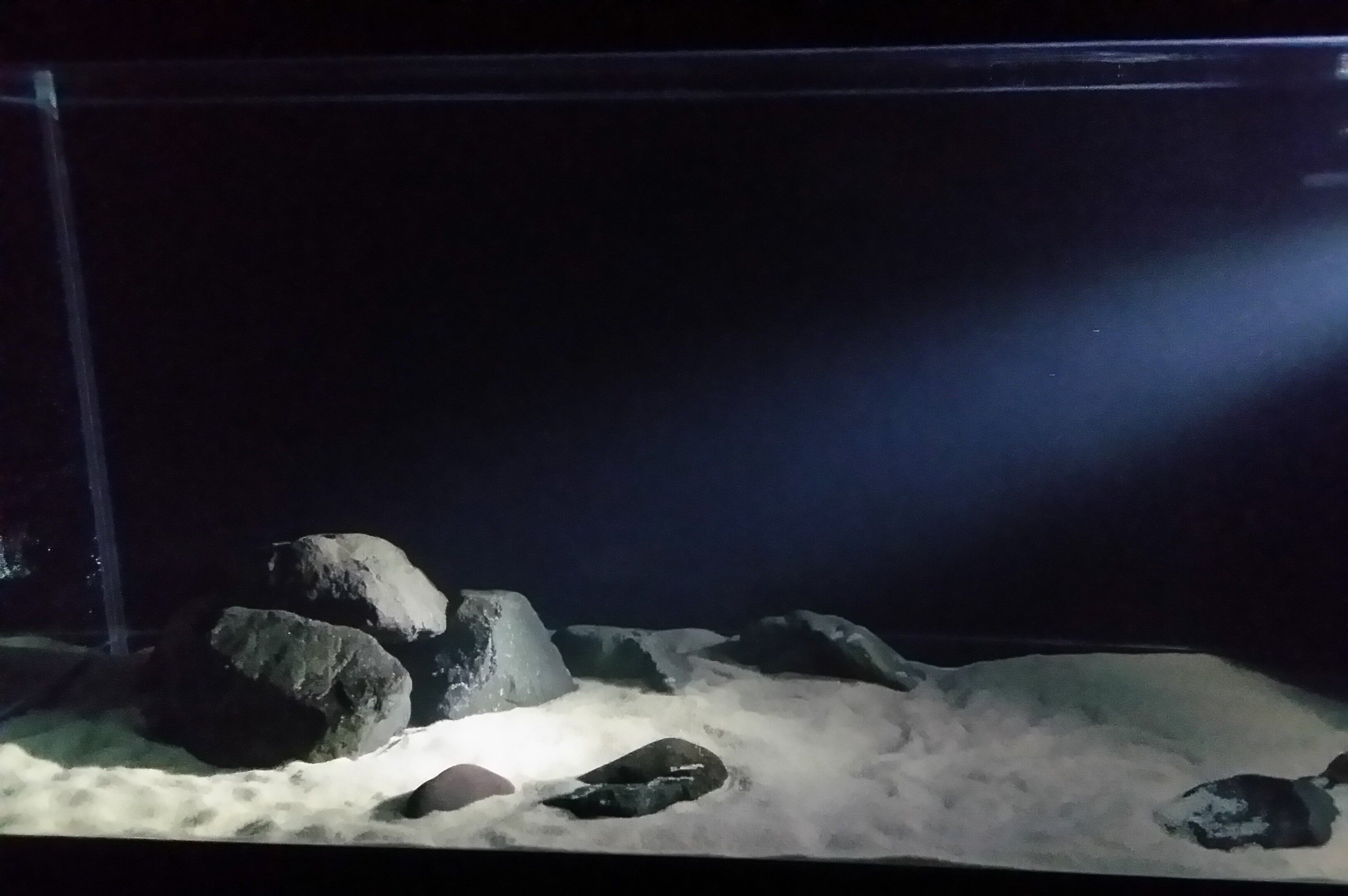 [ 更新日期:2021-11-14 ]  天然细沙鱼缸底砂,水草种植,三湖造景