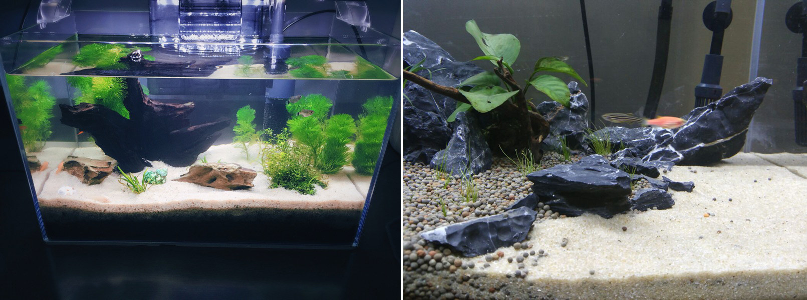 [ 更新日期:2021-11-14 ]  天然细沙鱼缸底砂,水草种植,三湖造景