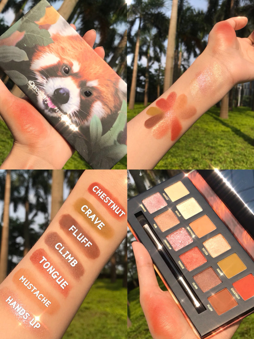 完美日记大小熊猫眼影盘新品试色