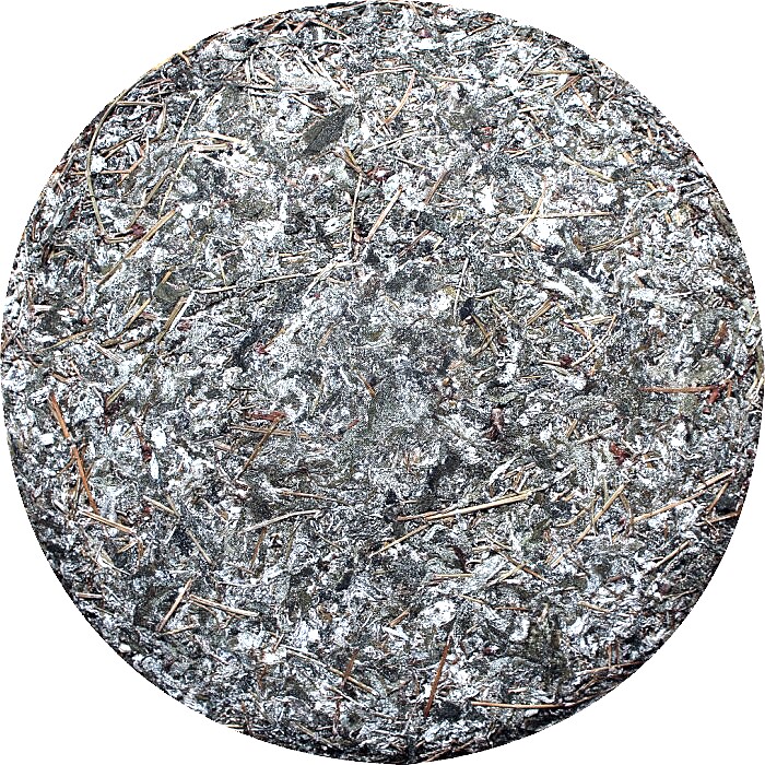 雪山古茶 茶底 叶子上的白点点就是苍山雪 白雪毫称呼来源.