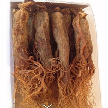 Red ginseng whole Super Red ginseng fiber root red ginseng film Changbai Mountain red ginseng liquid whole branch sugar free red ginseng whole Branch